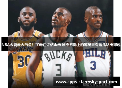 NBA今夏最大的鱼！字母在评估未来 雄鹿看得上的筹码只有这几队出得起